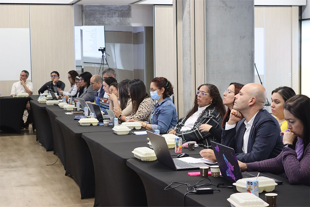 Delegados de las instituciones miembro en una sesión de trabajo de la Red